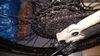 Commencal META 29 TR RIDE 2021 SAND, L, TOP STAV 
