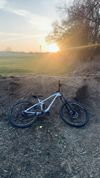 Canyon Spectral AL 8