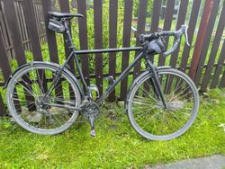 Surly Karate Monkey