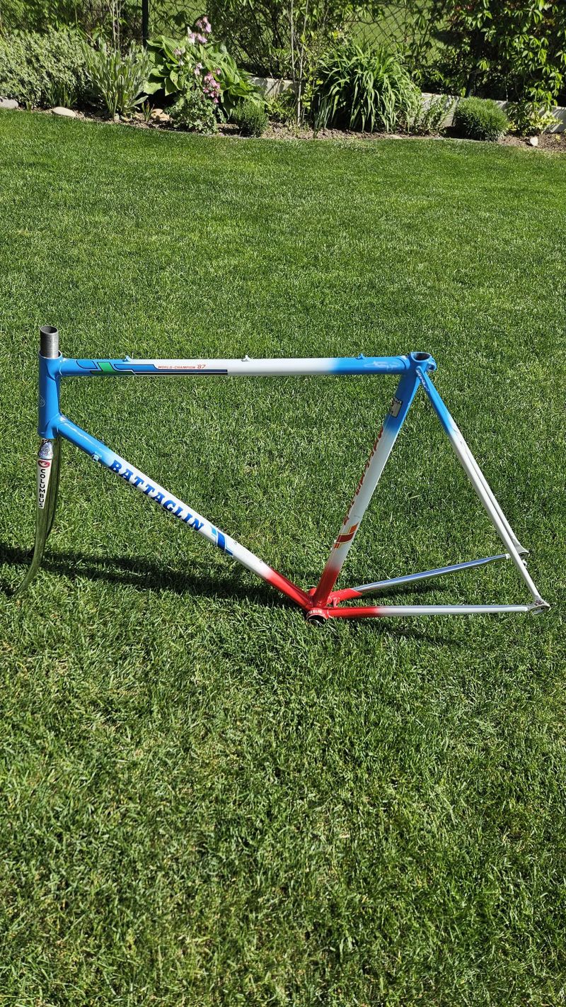 Battaglin "World Champion 1987"