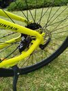 RDX MTB