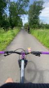 Rockrider Am 50s