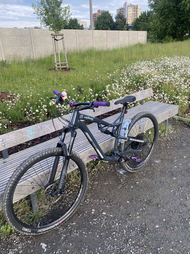 Rockrider Am 50s