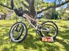 Specialized status 2