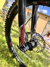 Specialized status 2