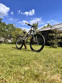 Specialized status 2