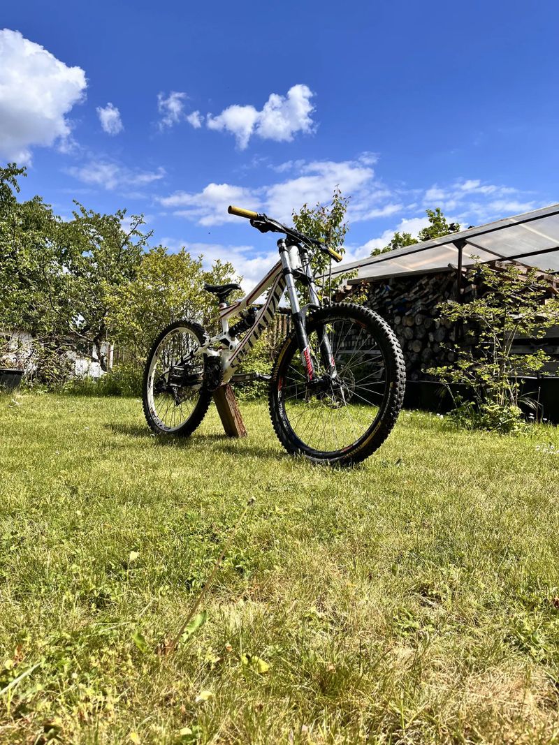 Specialized status 2