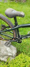 CTM Dirtking Pro