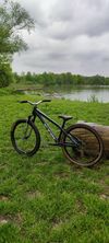 CTM Dirtking Pro
