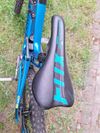 Carbon foxy R