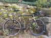 Giant TCX