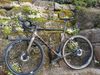 Giant TCX