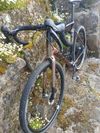 Giant TCX