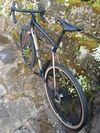 Giant TCX