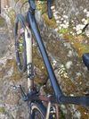 Giant TCX