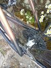 Giant TCX