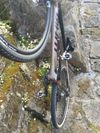Giant TCX