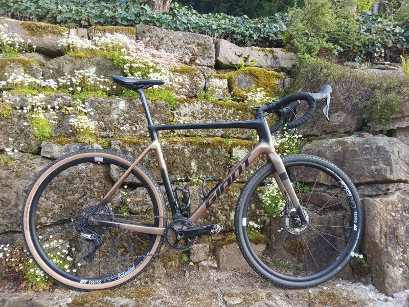 Giant TCX