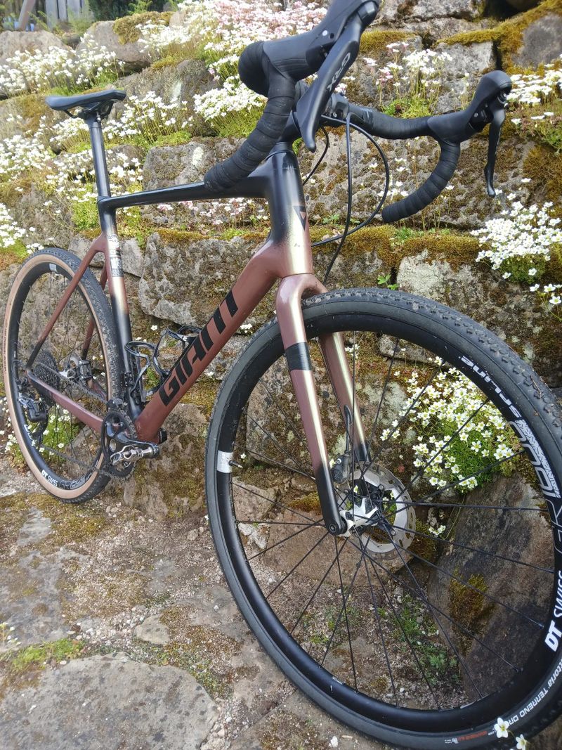 Giant TCX