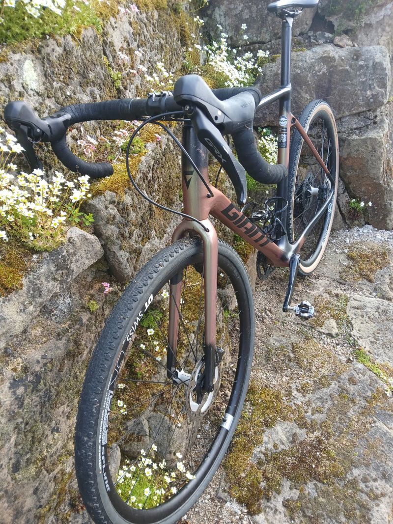 Giant TCX