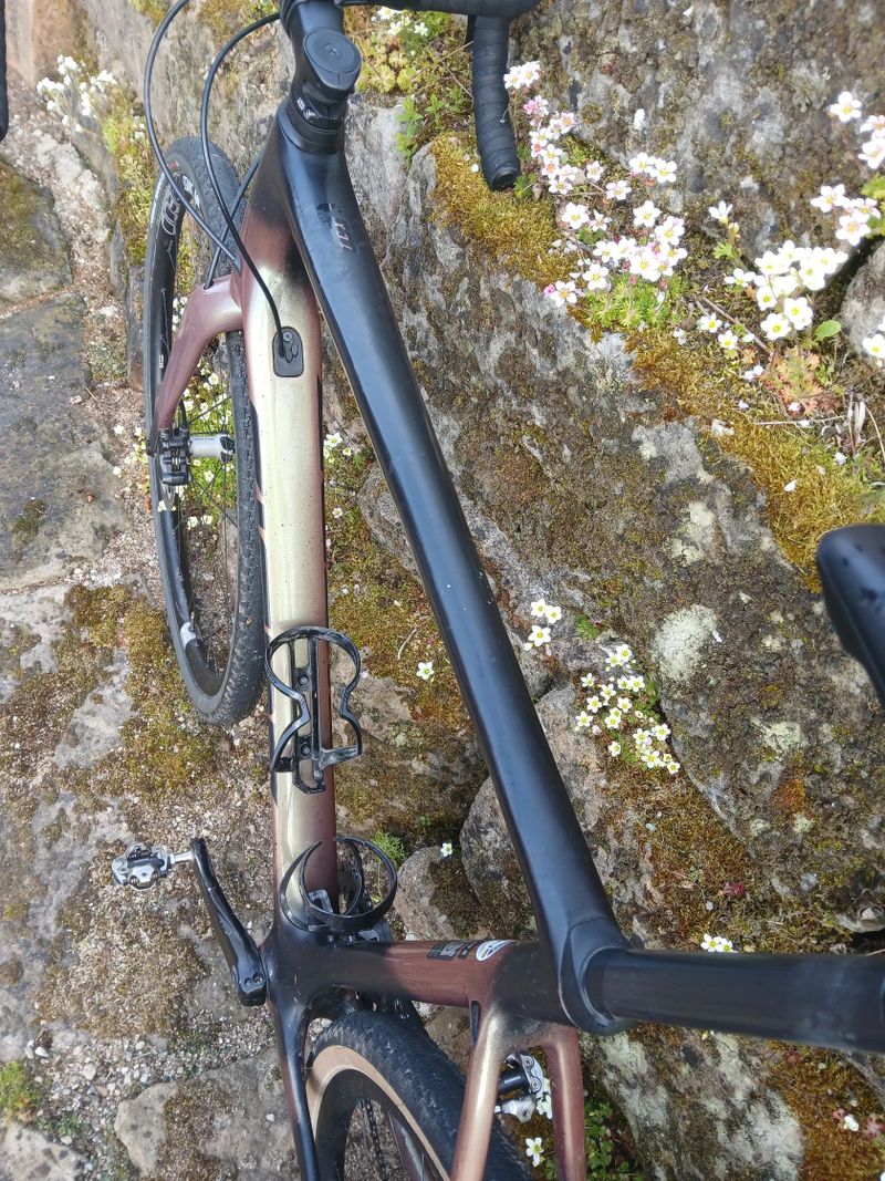 Giant TCX