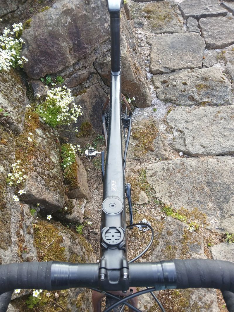 Giant TCX