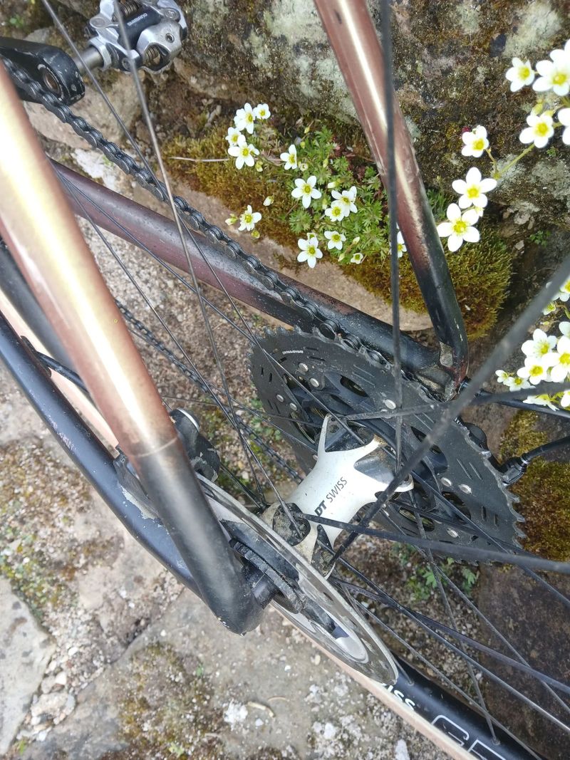 Giant TCX