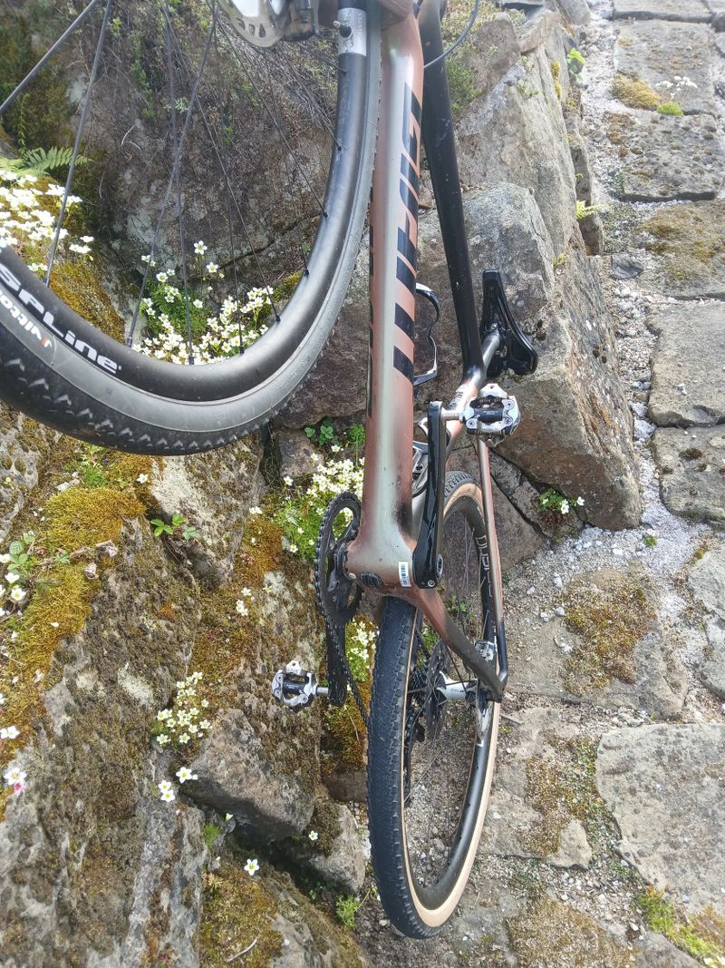 Giant TCX