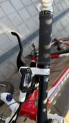 Trek Cobia 29