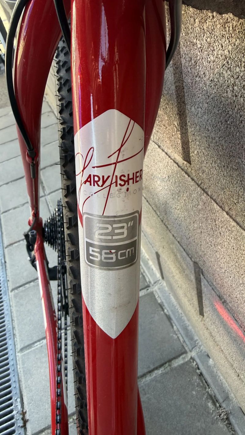 Trek Cobia 29