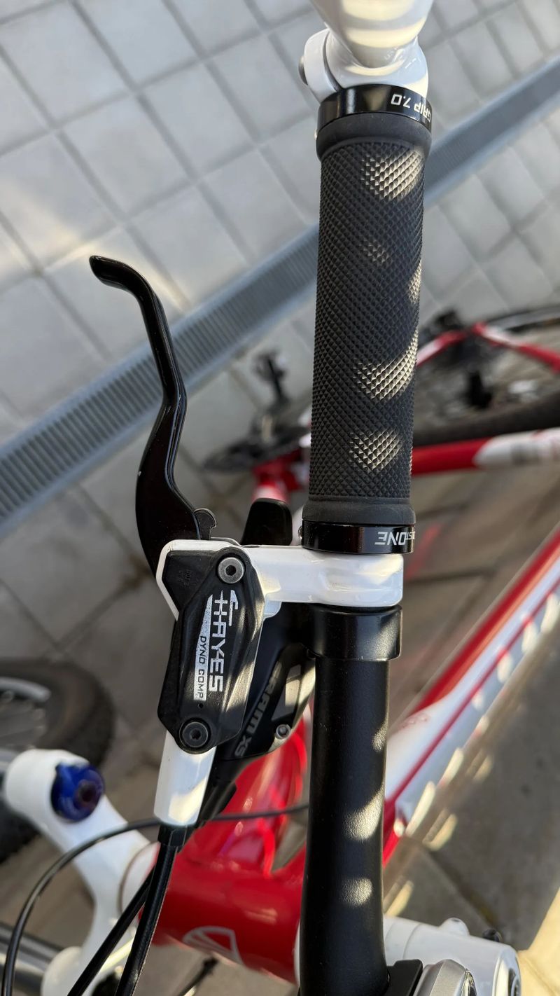 Trek Cobia 29