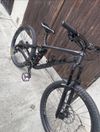 Trek Remedy 8
