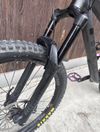 Trek Remedy 8