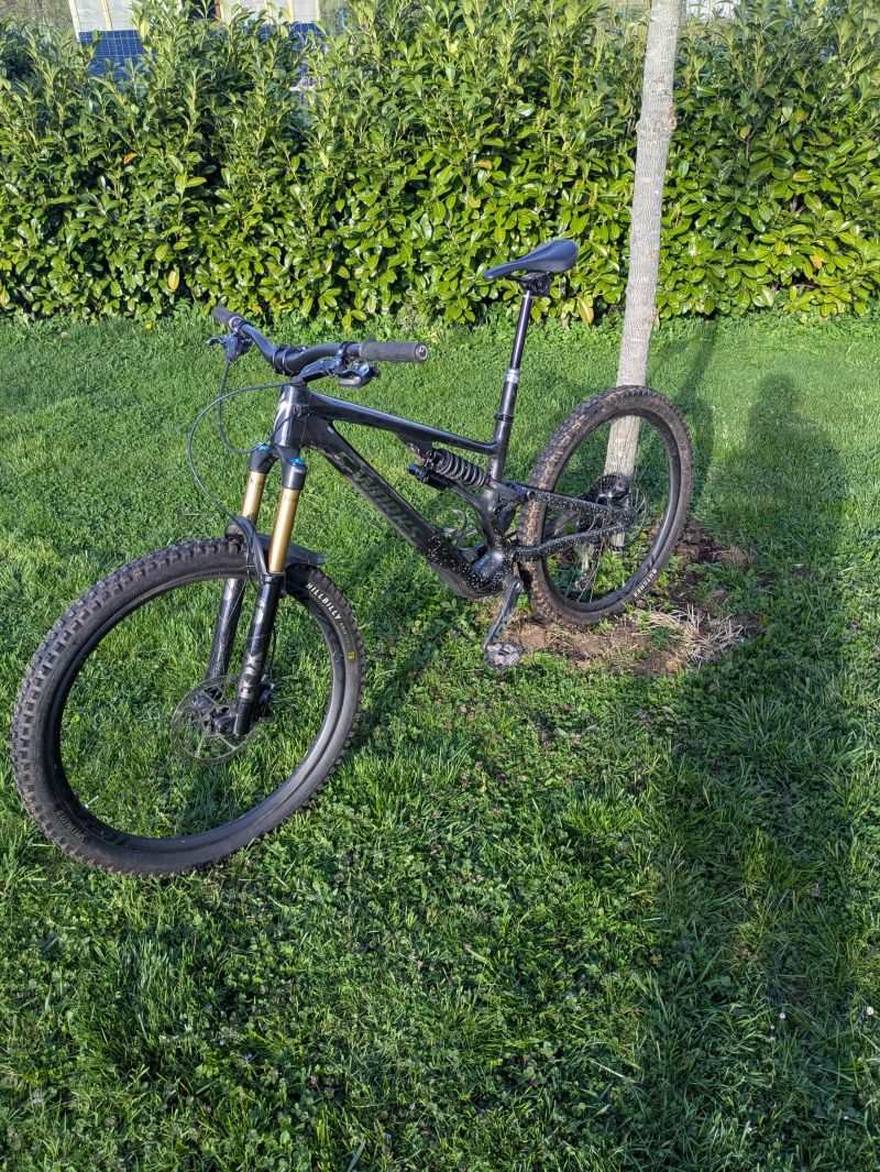 Specialized Stumpjumper Evo S4
