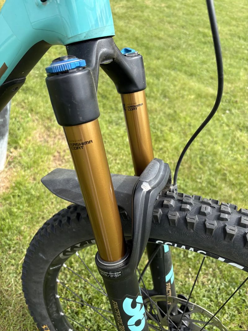Santa Cruz Bronson 