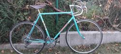 Favorit 1976