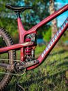 Propain Tyee CF