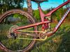 Propain Tyee CF