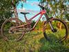 Propain Tyee CF