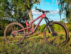 Propain Tyee CF
