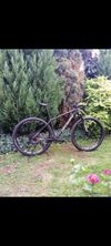 Specialized Epic HT expert r. 2024 vel. M
