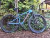 Specialized Epic Expert