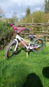Specialized Hotrock 16