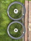 DT Swiss PR 1600 spline