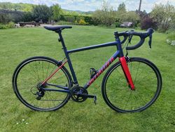 Specialized Allez Sport - vel. 56