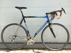 Stephen Roche silniční