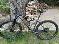 Specialized DH bike / SRAM / top stav/nízká cena