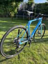 Canyon Endurance CF 7