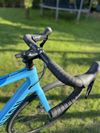 Canyon Endurance CF 7