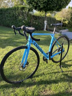Canyon Endurance CF 7